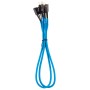 Corsair CC-8900247 cavo di alimentazione interno 0,3 m (CC-8900247)
