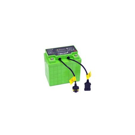 Ergotron SV LiFe Batteria monouso 12V Litio (97-618)