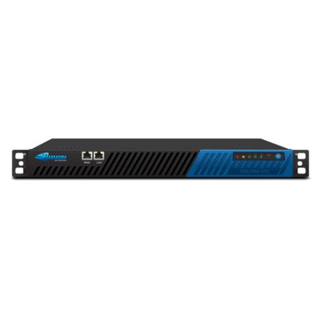 Barracuda Networks Web Filter 410 1 anno/i (BYF410A)