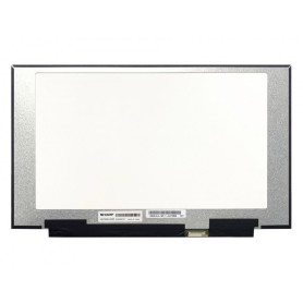 CoreParts MSC156F40-307M ricambio per laptop Display