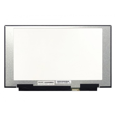 CoreParts MSC156F40-307M ricambio per laptop Display