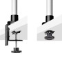 StarTech.com Supporto per monitor da scrivania per schermi ultrawide da 27“ 16:9 o 30” 21:9, VESA 75x75/100x100, regolazioni (1MP1ACG-MONITOR-ARM)