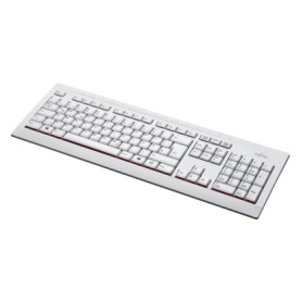 Fujitsu KB521 PL tastiera Ufficio USB Polacco Grigio (S26381-K521-L116)