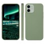 dbramante1928 GL54RDGR1275 custodia per cellulare 13,7 cm (5.4") Cover Verde (GL54RDGR1275)