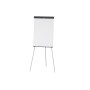 MAUL 6372082 blocco per lavagne e accessori 660 x 970 mm Plastica, Acciaio Grigio (6372082)