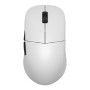 Endgame Gear XM2we mouse Gaming Mano destra RF Wireless + USB Type-C Ottico 19000 DPI (EGG-XM2WE-WHT)