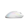 Glorious Gaming Model D 2 Wireless mouse Mano destra RF Wireless 19000 DPI (GLO-MS-DWV2-MW)