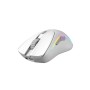 Glorious Gaming Model D 2 Wireless mouse Mano destra RF Wireless 19000 DPI (GLO-MS-DWV2-MW)