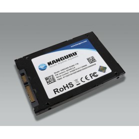 iStorage KSED300-SATA-500G unità esterna a stato solido 500 GB