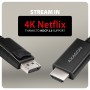 Axagon RVD-HI20C2 cavo e adattatore video 1,8 m DisplayPort HDMI Nero