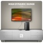 Axagon RVD-HI20N cavo e adattatore video 0,15 m DisplayPort HDMI Nero