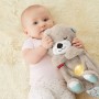 Fisher-Price FXC66 peluche (FXC66)