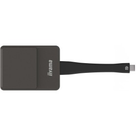 iiyama WP D002C dongle Smart TV USB 4K Ultra HD Nero, Argento