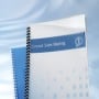 GBC Copertine rilegatura PolyClearView 350mic trasp/opache (100) (IB387166)