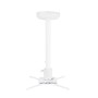 Multibrackets 0735 supporto per proiettore Soffitto Bianco (MB0735)