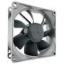 Noctua NF-R8 redux 1200 Case per computer Ventilatore 8 cm Nero, Grigio (NF-R8 REDUX-1200) (NF-R8 redux-1200)