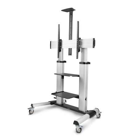 StarTech.com Carrello/supporto TV mobile su ruote per schermi piatti da 60-100" e fino a 100 kg, regolazione dell'altezza tramit (1110C-MOBILE-TV-CART)