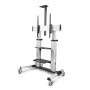 StarTech.com Carrello/supporto TV mobile su ruote per schermi piatti da 60-100" e fino a 100 kg, regolazione dell'altezza tramit (1110C-MOBILE-TV-CART)