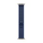 Apple Trail Loop blu/blu acceso (49 mm) - M/L - Titanio naturale (MFT74ZM/A)