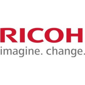 Ricoh US70 - Druckerunterschrank - für Ricoh Aficio SP 5200, Aficio SP 5210, Aficio SP C240, Aficio SP C242, SP C320 (712SP520G)