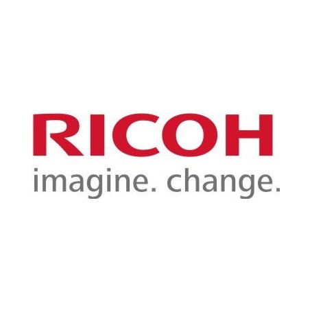 Ricoh US70 - Druckerunterschrank - für Ricoh Aficio SP 5200, Aficio SP 5210, Aficio SP C240, Aficio SP C242, SP C320 (712SP520G)
