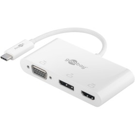 Goobay 52412 adattatore grafico USB Bianco