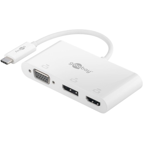 Goobay 52412 adattatore grafico USB Bianco