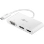 Goobay 52412 adattatore grafico USB Bianco