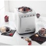 Magimix 11680 RW Gelatiera tradizionale 2 L 180 W Argento (11680RW)