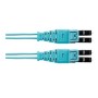 Panduit 1m, 2xLC cavo a fibre ottiche LC OM4 Turchese (FZ2ELQ1Q1SNM001)