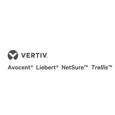 Vertiv Avocent HMXLIC-100 licenza per software/aggiornamento Base 100 licenza/e