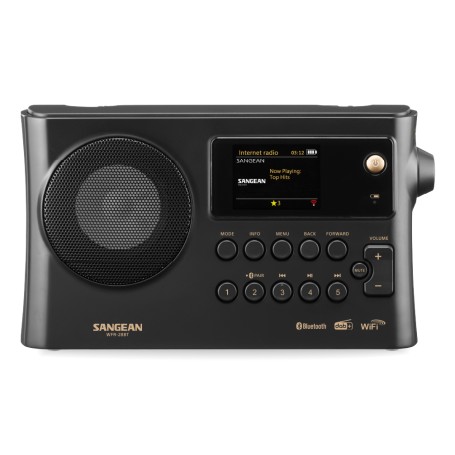 Sangean WFR-28BT Internet Digitale Nero (A500495)