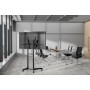 Neomounts by Newstar Supporto per lettore multimediale Neomounts di Newstar (AWL-450BL)