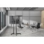 Neomounts by Newstar Supporto per lettore multimediale Neomounts di Newstar (AWL-440BL)