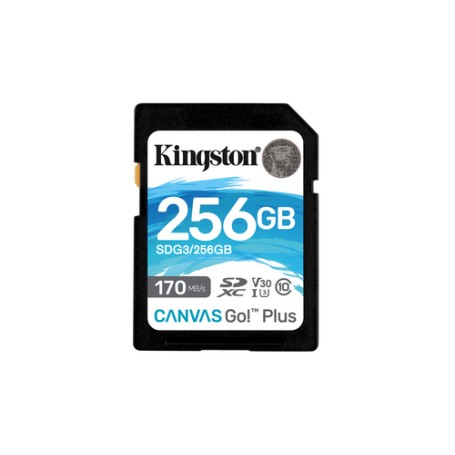 Kingston Technology Scheda SDXC Canvas Go Plus 170R C10 UHS-I U3 V30 da 256GB (SDG3/256GB)