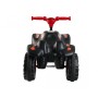 Bobby Quad Racing (schwarz/rot) (800056413)