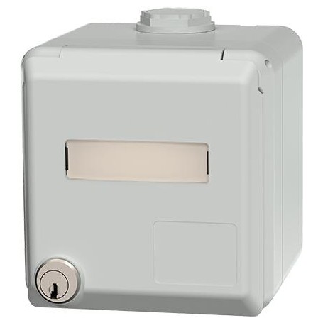 Datendose Cepex Leergehäuse (4375G)