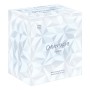 Caran d-Ache Alpine Frost Temperamatite manuale Blu artico (CC0455.025)