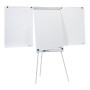 Franken F2100/N blocco per lavagne e accessori Libera installazione 680 x 1050 mm Grigio (F2100/N)