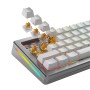 Glorious Gaming GLO-KB-ACC-SWT-PANDA-HE-36 accessorio del dispositivo di ingresso Interruttori a tastiera