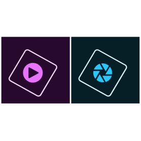 Adobe Photoshop Pro for Teams 1 licenza/e Licenza Inglese 12 mese(i) (65309658BA12A12)
