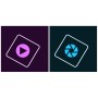 Adobe Photoshop Pro for Teams 1 licenza/e Licenza Inglese 12 mese(i) (65308601BA13A12)