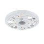 Axis T91A33 Monte (01467-001)