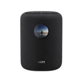 WiiM Sound 2-vie Nero Con cavo e senza cavo 100 W (LPWISND)