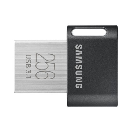 Samsung MUF-256AB unità flash USB 256 GB USB tipo A 3.2 Gen 1 (3.1 Gen 1) Grigio, Argento (MUF-256AB/APC)