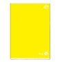 CF10 QUADERNO 24FG 100G  4F ASSOR. (0121908)
