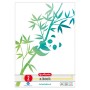 Arbeitsblock A4 GREENline 50 Blatt Lineatur 02 Motiv Panda, College Block (liniert, A4) (50039906)