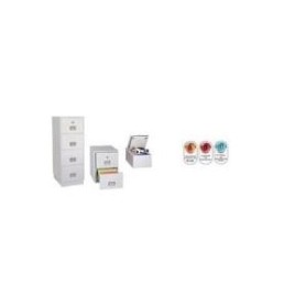 Phoenix Firefile FS2242K - Medienaufbewahrungsschrank - weiß, RAL 9003 (FS2242K)