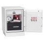 Phoenix Safe Co. DS2501E cassaforte Bianco
