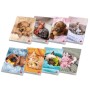 CF10 MAXI DOLCICUCC ASS 80G 42F 4F (02338554F)